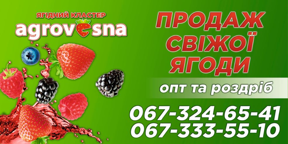 Владислав
