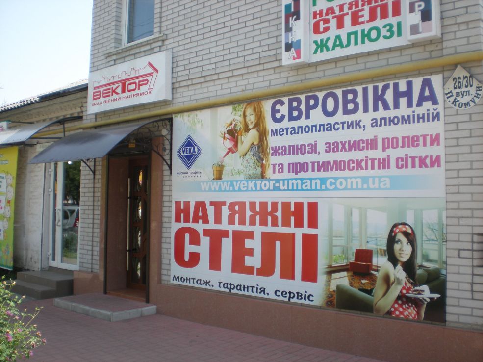 Вектор