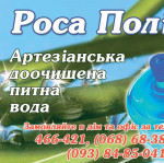 Денис Борский