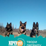 Таня Мельник-Мунтян