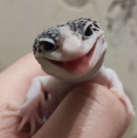 Мари