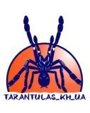 tarantulas_kh_ua, Василий