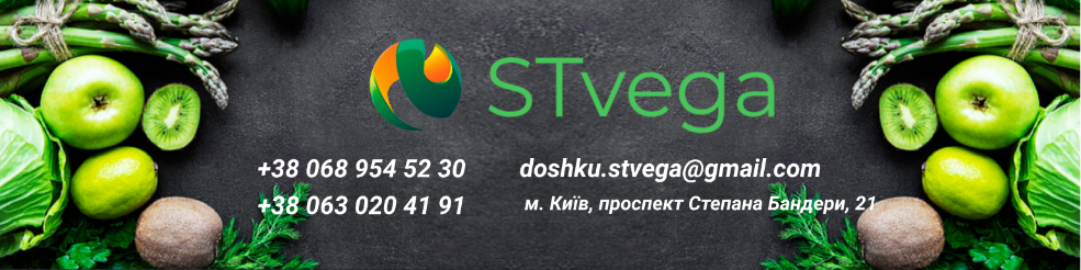 STvega