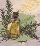 rozmarin-kh.com.ua