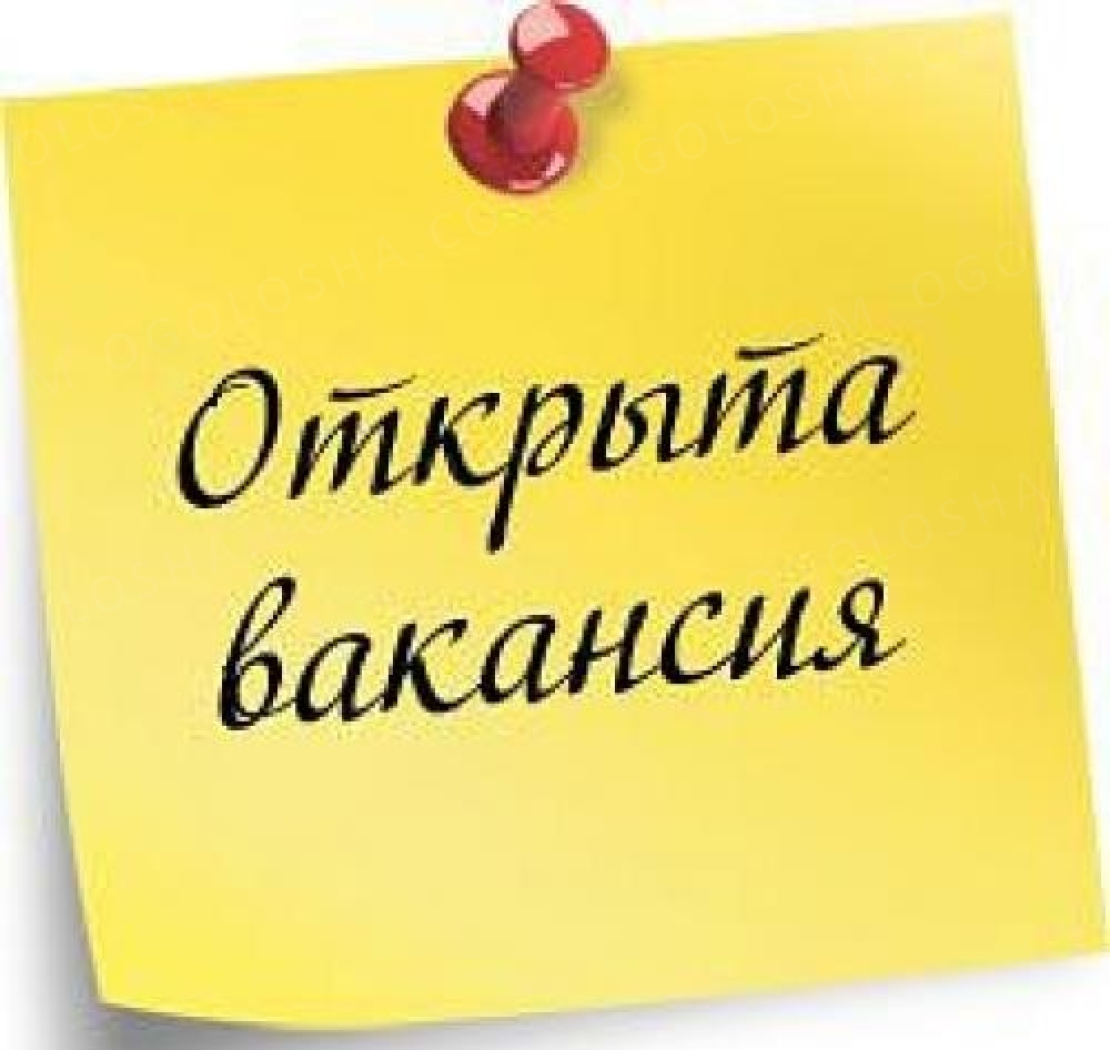 удостоверение категории ищу работу продавцом в поисково Шницель оленины