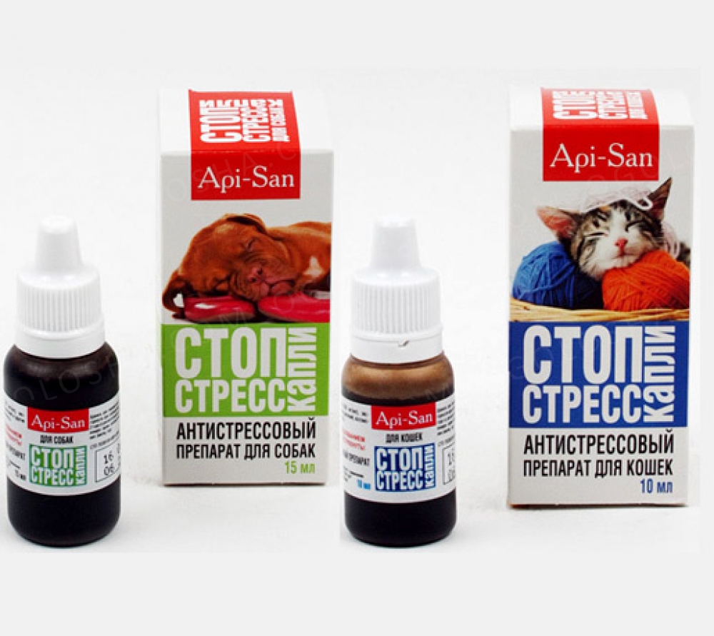 Стоп стресс для кошек