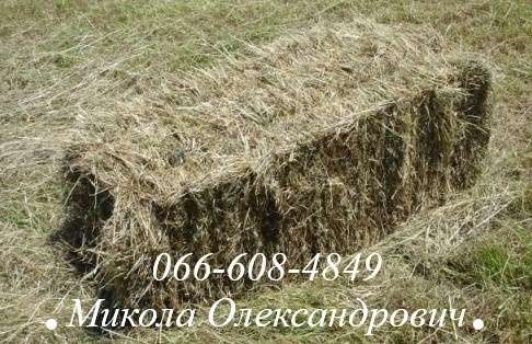 Продам сіно в тюках