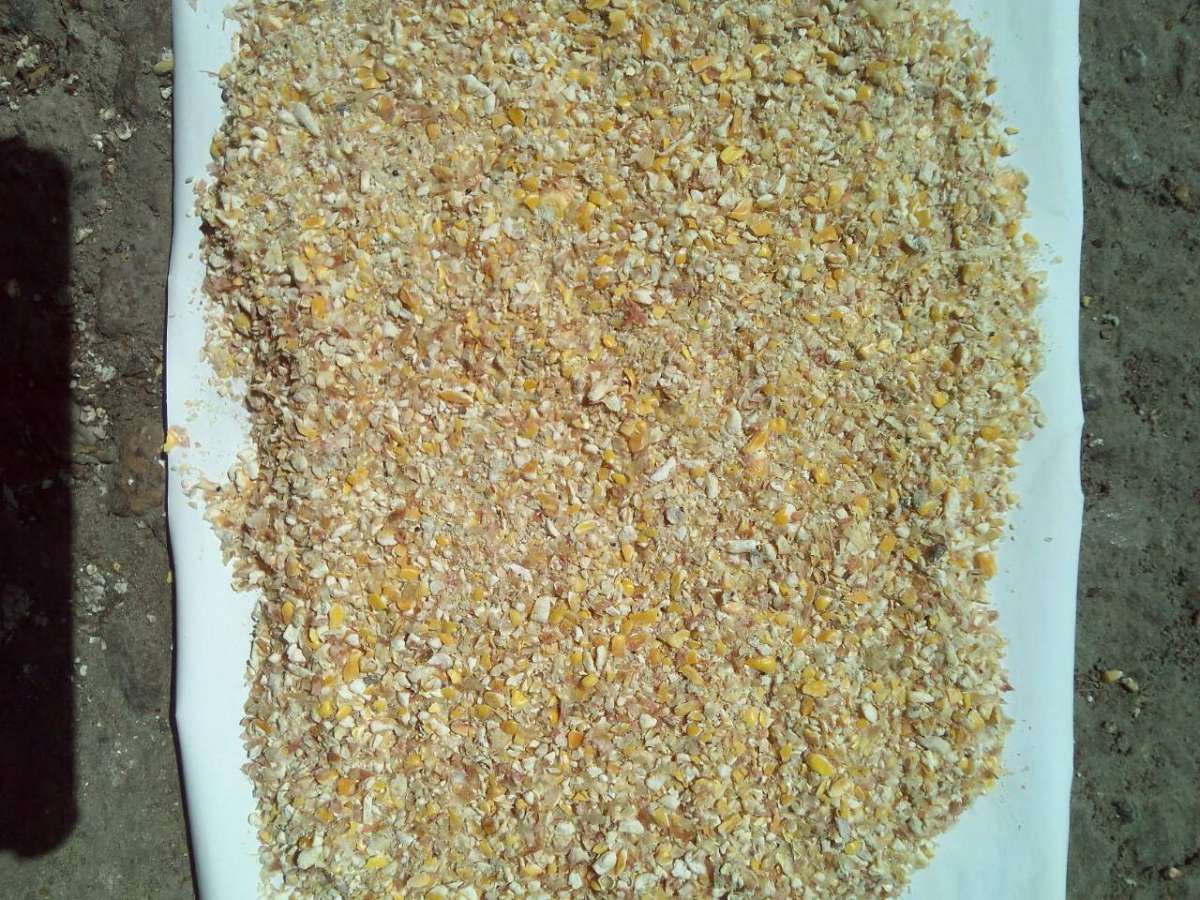 Продам Битая кукуруза, крупка, сечка, корм для птицы