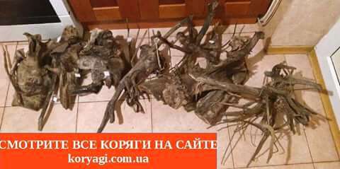 КОРЯГА ДЛЯ АКВАРИУМА огромный выбор низкие цены.