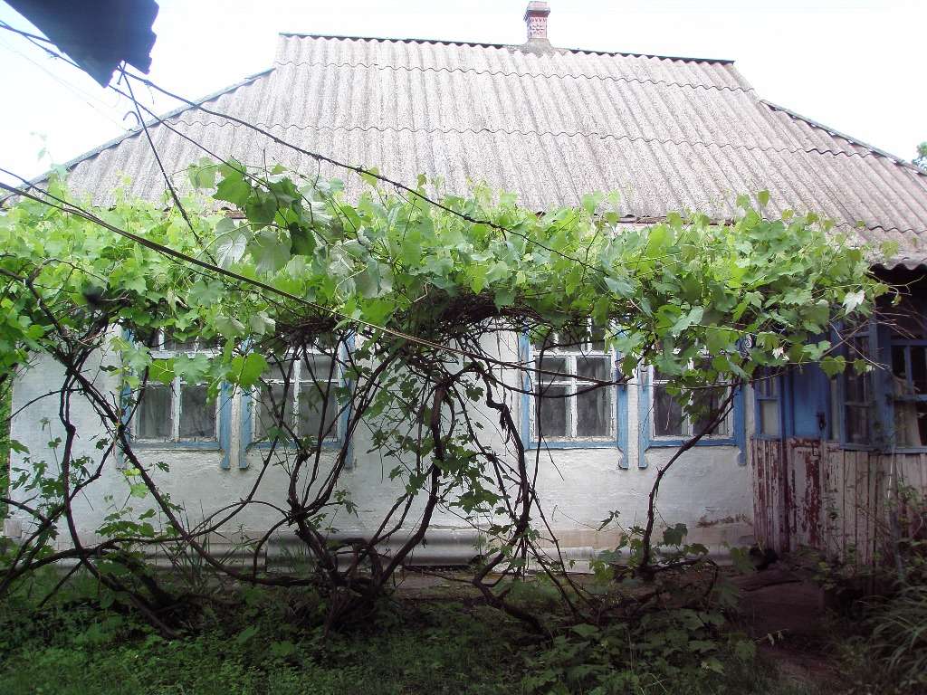 Ивановка. Высокий деревянный дом с большим садом.