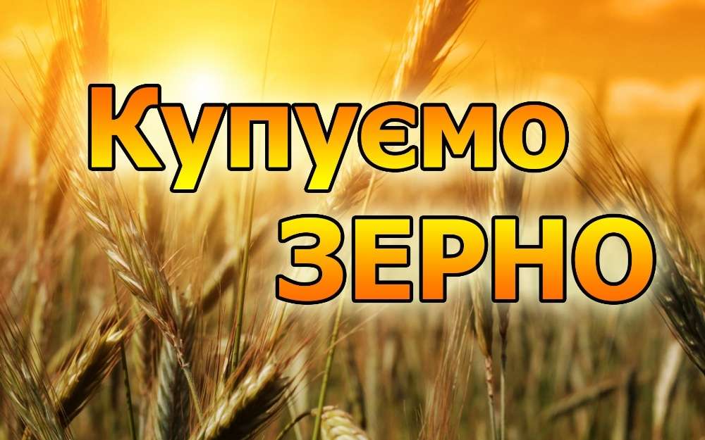 Агрофонд отзывы. Фонд пате. Питомник саженцев в тюмени. Агровел. Агрофонд отзывы.