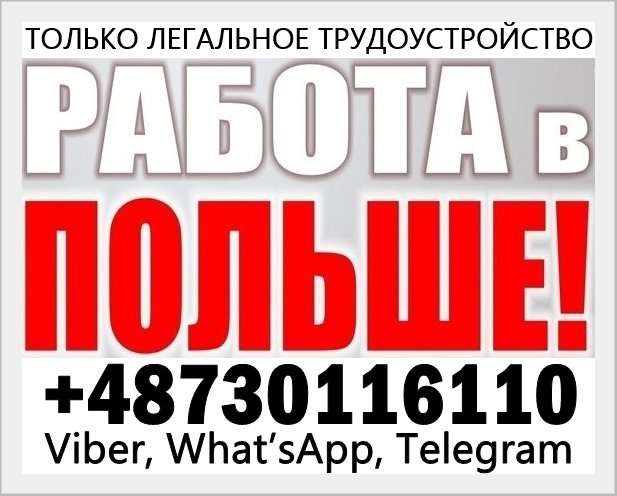 Работа в польше работодатель. Работа в польше работодатель